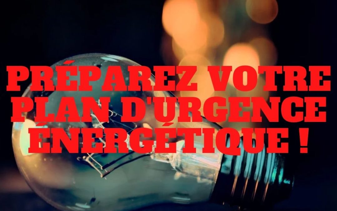 «  Préparer son plan d’urgence énergétique ! Inflation, pénurie, rationnement comment faire ? » L’édito de Charles SANNAT