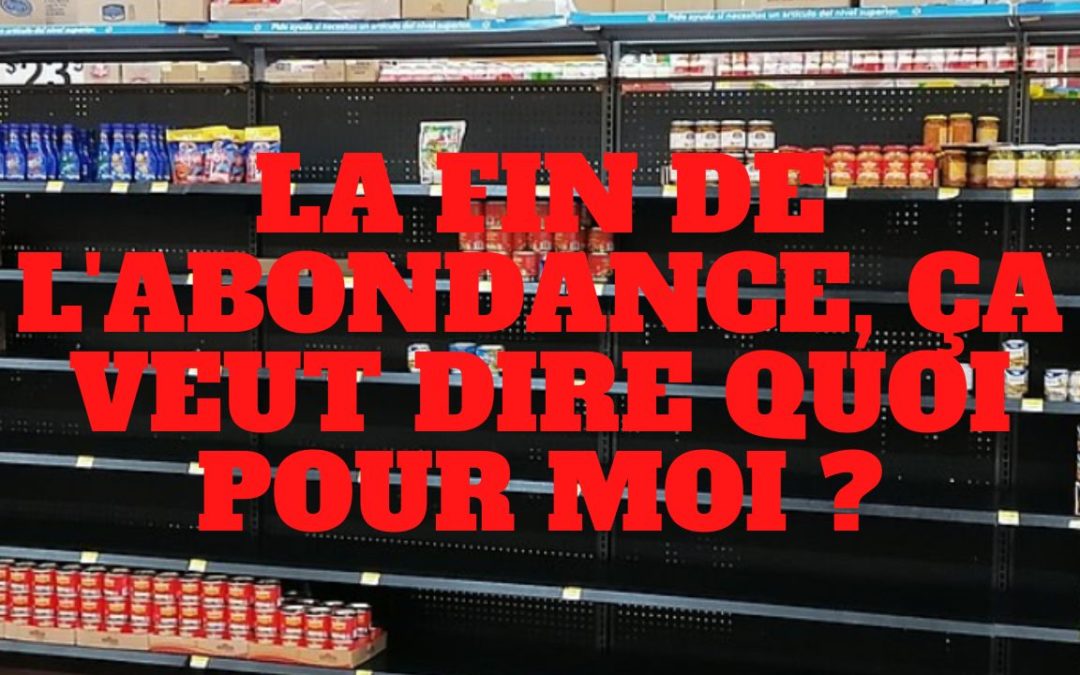 « La fin de l’abondance, ça veut dire quoi pour vous ? » L’édito de Charles SANNAT