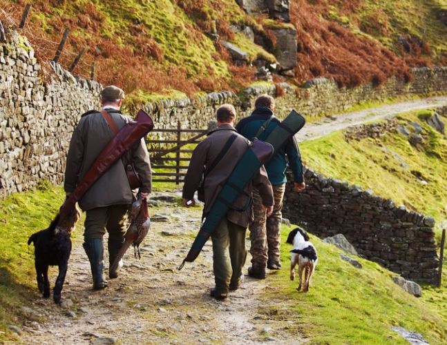 L’écologie tue plus que la chasse. 7 fois plus de morts en trottinette et en vélo qu’à la chasse !