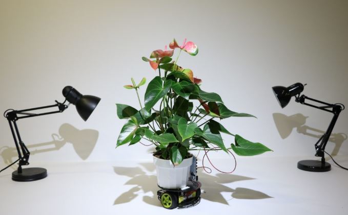 Les plantes cyborg débarquent !